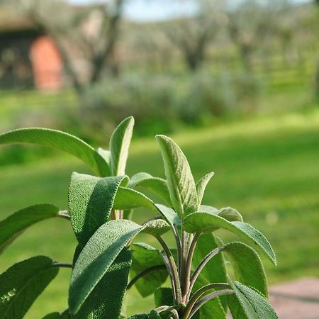 كروتوني Agriturismo La Mandragola Relais المظهر الخارجي الصورة