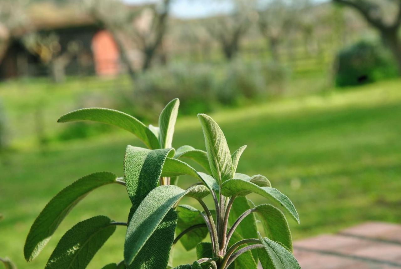 كروتوني Agriturismo La Mandragola Relais المظهر الخارجي الصورة