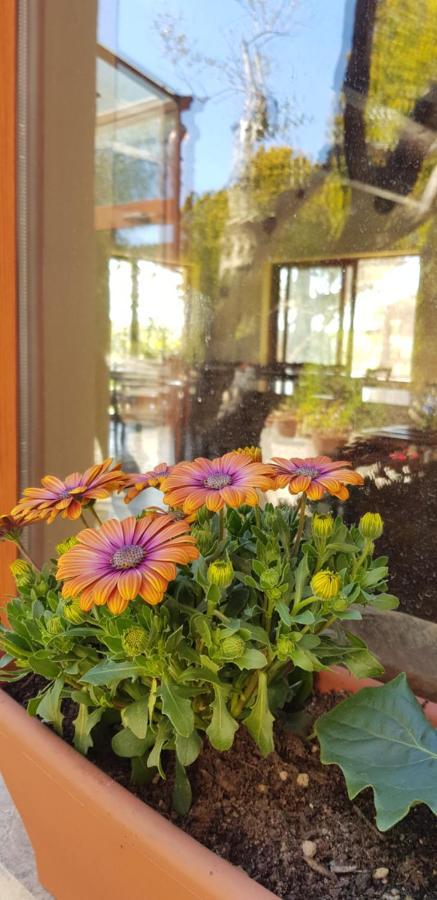 كروتوني Agriturismo La Mandragola Relais المظهر الخارجي الصورة