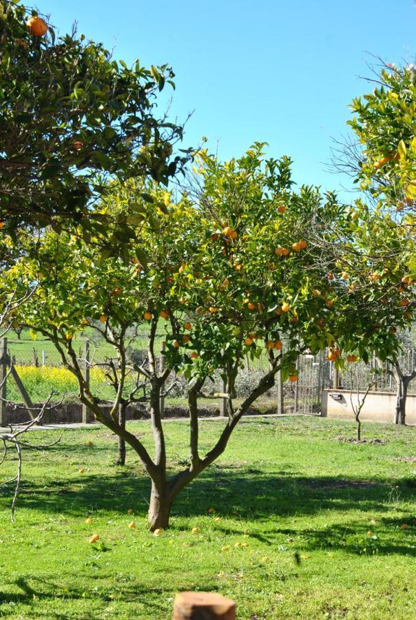 كروتوني Agriturismo La Mandragola Relais المظهر الخارجي الصورة