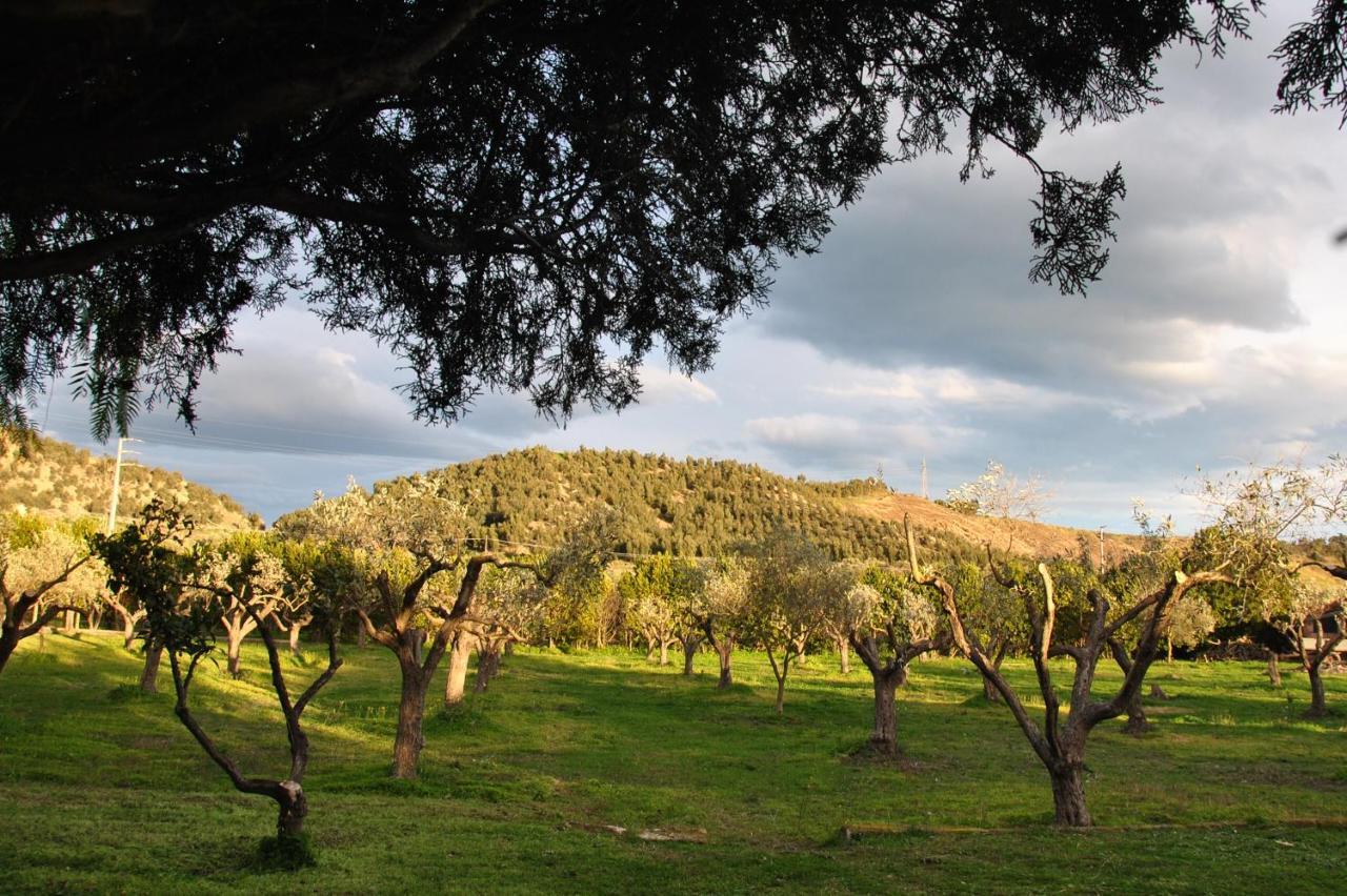 كروتوني Agriturismo La Mandragola Relais المظهر الخارجي الصورة