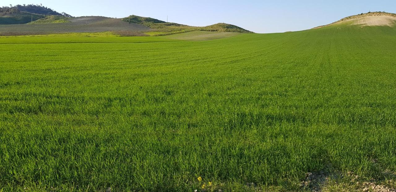 كروتوني Agriturismo La Mandragola Relais المظهر الخارجي الصورة