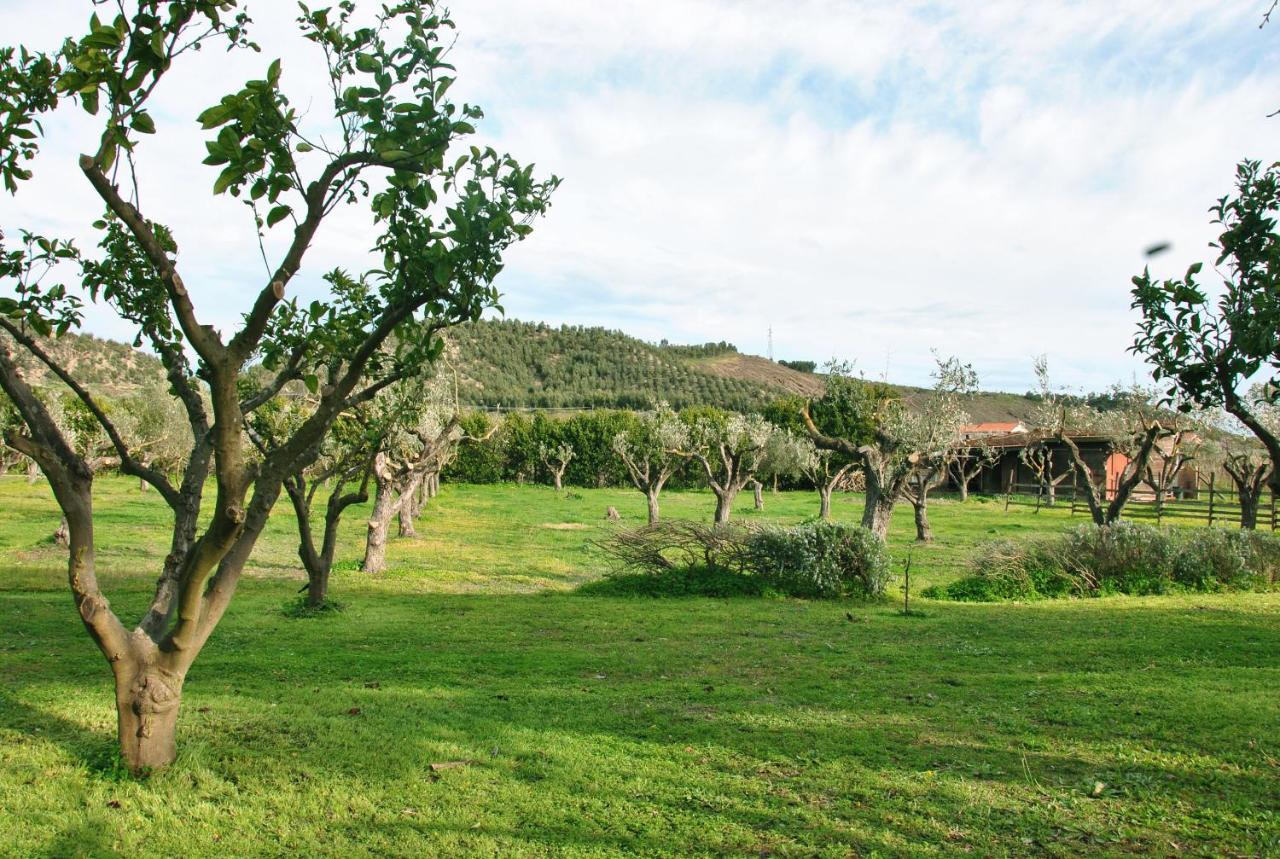 كروتوني Agriturismo La Mandragola Relais المظهر الخارجي الصورة
